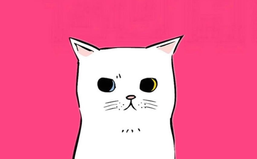 初中英语作文-我和我的宠物猫
