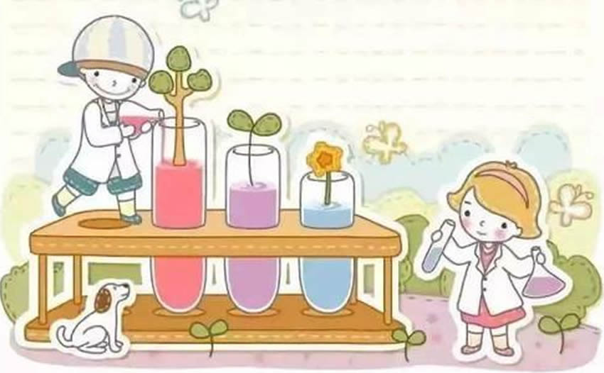 初中中考冲刺作文-与你相伴的日子
